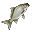 Karausche