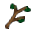 Zelkova Holzast