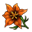 Orangefarbene Blume