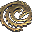 Drachengottamulett