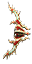 Å©¸®½º¸¶½º25 È°(¹«)