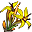 Erdranke
