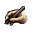 ETC icon/item/70028.tga