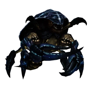 Zodiak-Krabbenkämpfer