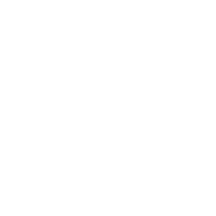 Reparaturholz