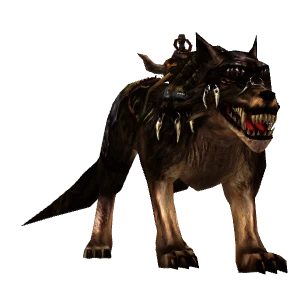 Wolf