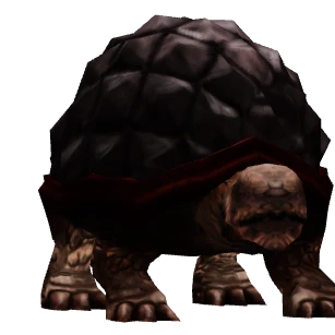 Große Wüstenschildkröte