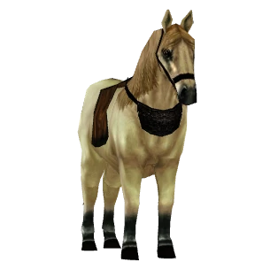 Pony