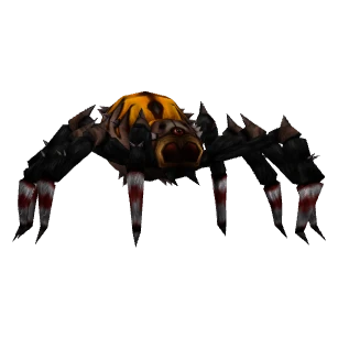 Königinnenspinne