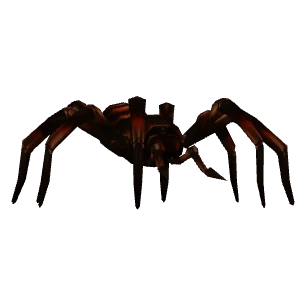 Zodiak-Babyspinne