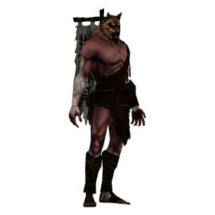 Nagual
